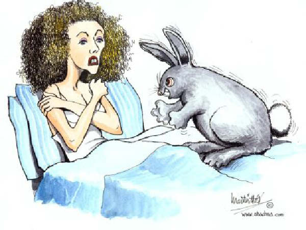 s-rabbit-humourenvrac