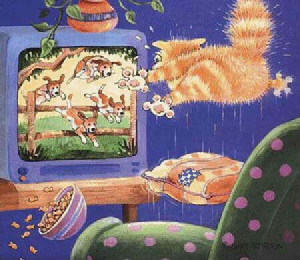 scared-cat-humourenvrac