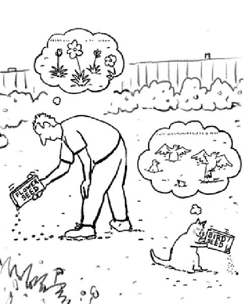 semences-humourenvrac