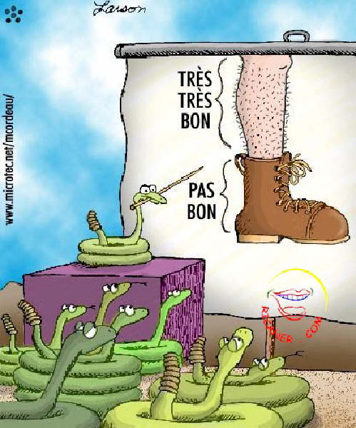 serpentbis-humourenvrac