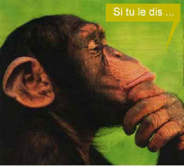 si_tu_le_dis-humourenvrac