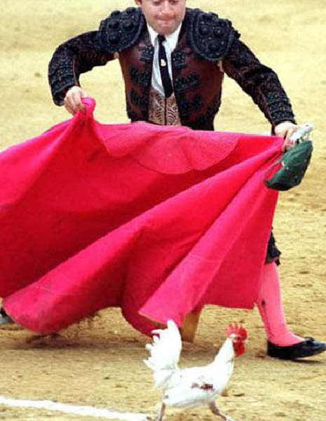 temp24_ole-humourenvrac