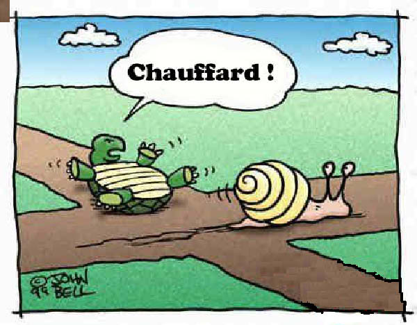 tortue_escargot_chauffard-humourenvrac