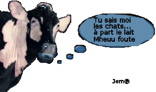vache-humourenvrac-1