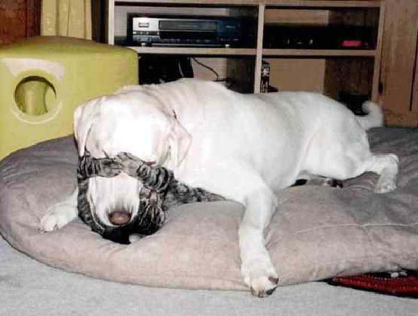 wiebenik-humourenvrac