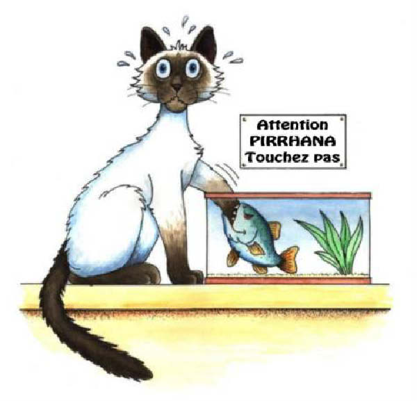 x-pirrhana-humourenvrac