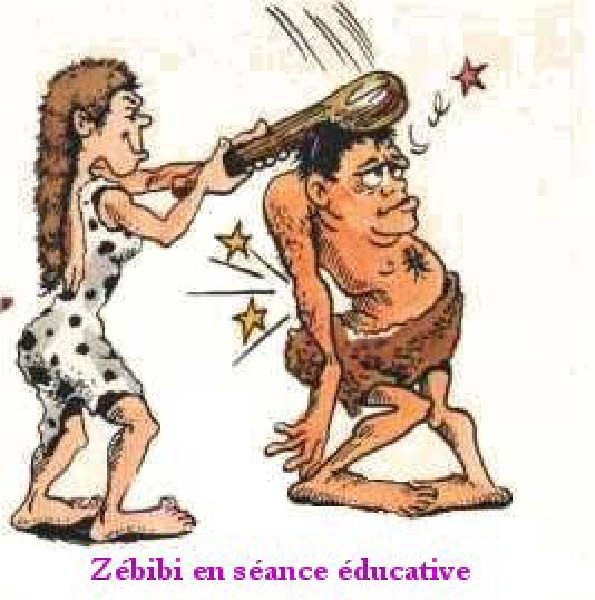 zebcogne-humourenvrac