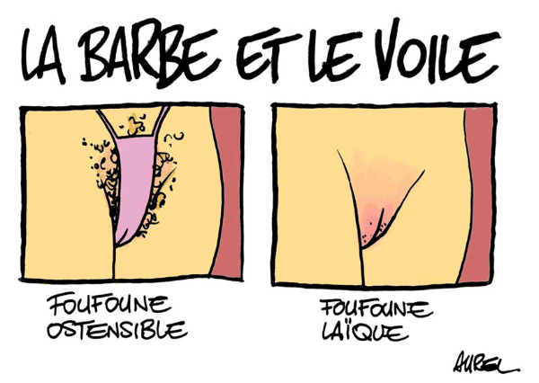 Dessin Bd Humour Gag Rire Drole Canulard Blague Barbe-Et-Voile