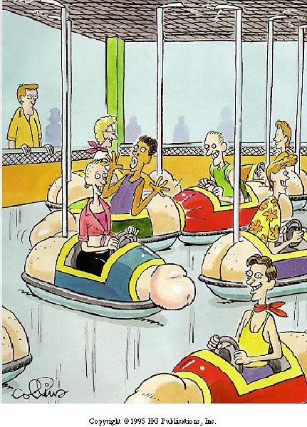 Gay Bumper Cars1-HeV