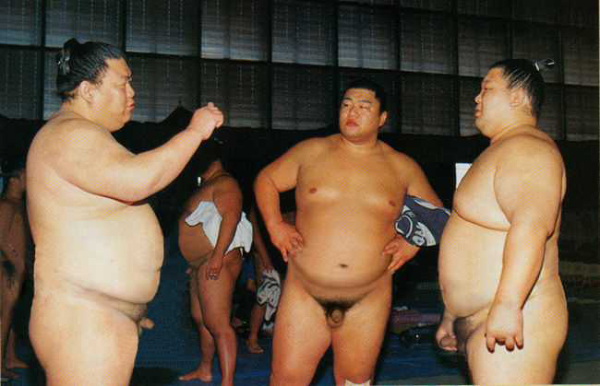 SUMO-HeV