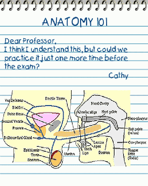 anatomy-HeV