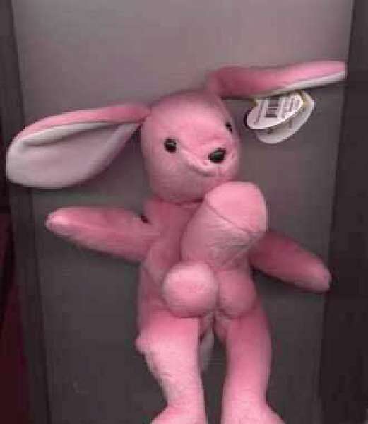 beaniebabies0001-HeV