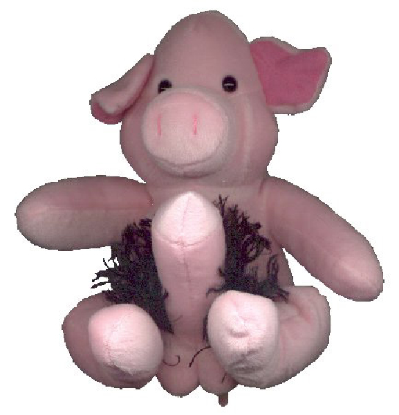 beaniebabies0003-HeV