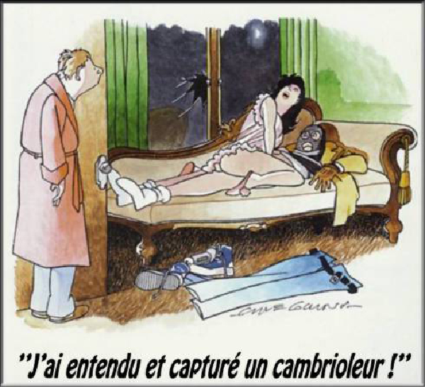 cambrioleur1-HeV