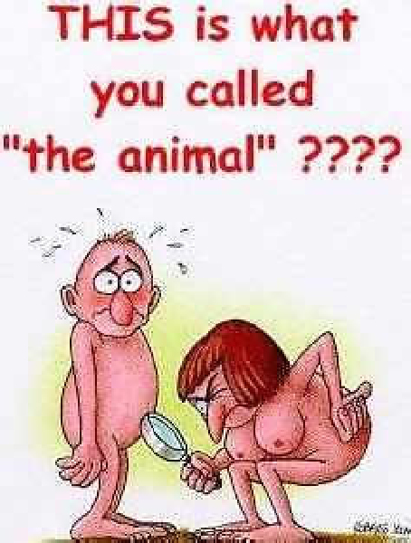 cest ce que tu appelle lanimal-HeV