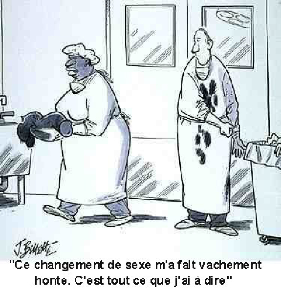 changement de sexe-HeV