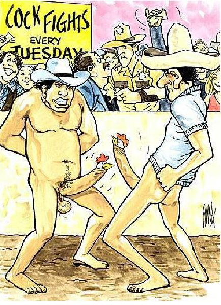 combat de  cocks-HeV