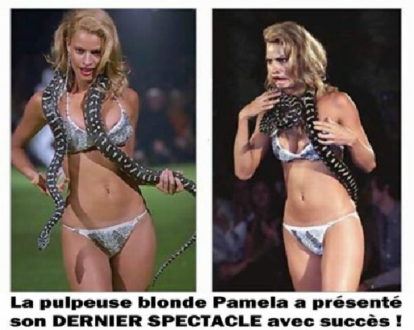 dernier spectacle-HeV