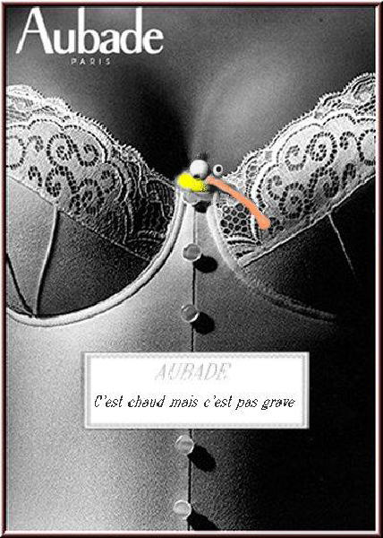 image -Aubade &Kiss-Cool Humour