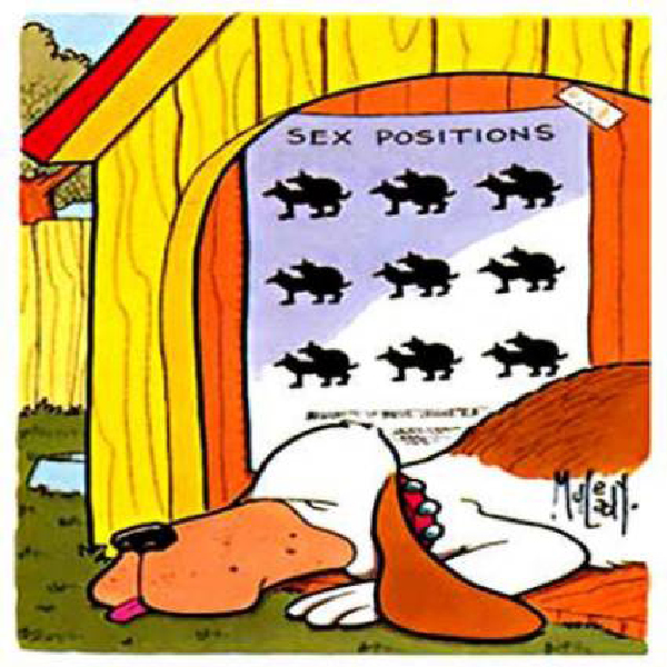 sexe positions-HeV