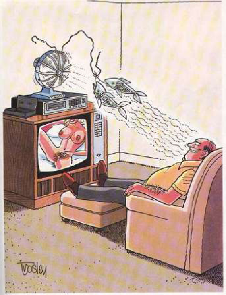 sexe tv comme a la maison-HeV