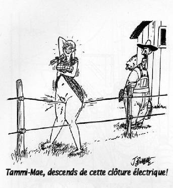 toon - electric fence-HeV