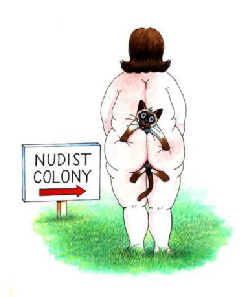 x-colonie nudiste-HeV