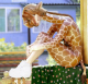 giraffe01-HeV
