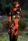 ladybird01-HeV