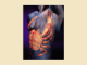 bodypaint-HeV0128